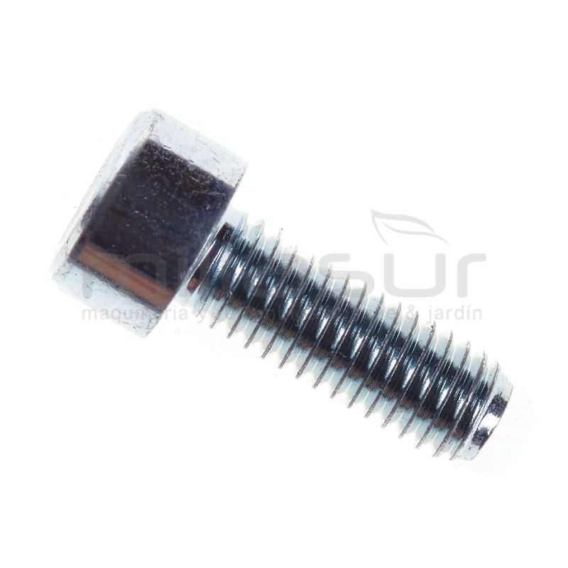 TORNILLO TOMA ADMISION MG3800 (8) - motoscamaralweb.com