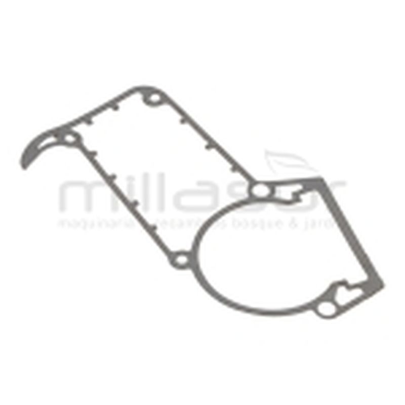 JUNTA CARTER MG6018 - motoscamaralweb.com