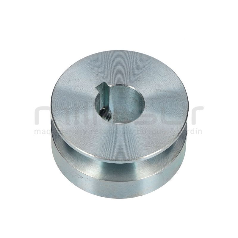 POLEA SALIDA MOTOR - motoscamaralweb.com