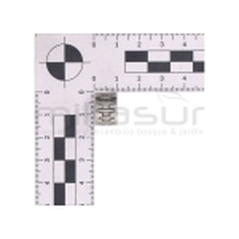 RODAMIENTO PIÑON HORQUILLA TOMA DE FUERZA (B36) MTC340 - motoscamaralweb.com