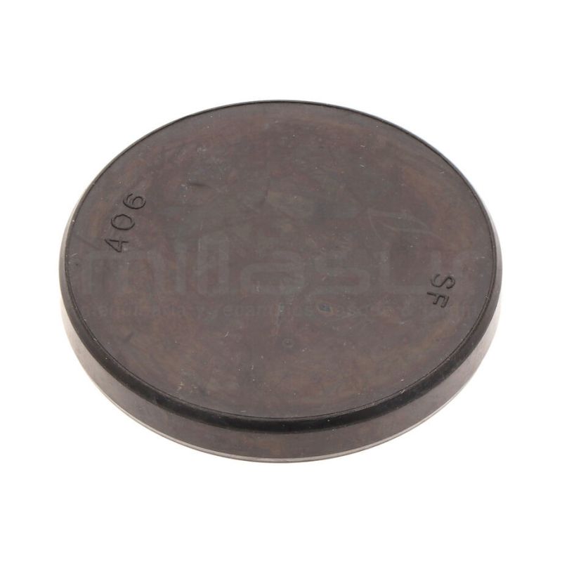 TAPON GUIA ORUGA 40X6 OR7500 (18) - motoscamaralweb.com