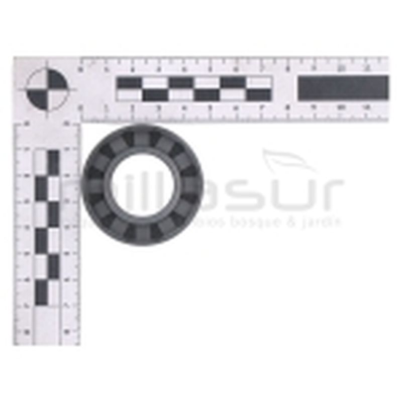 RETEN RODILLO GUIA (64) - motoscamaralweb.com