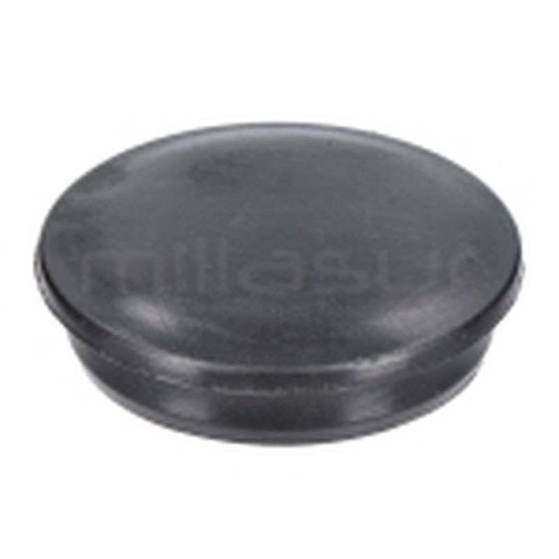 TAPA PERNO RODILLO GUIA (70) - motoscamaralweb.com