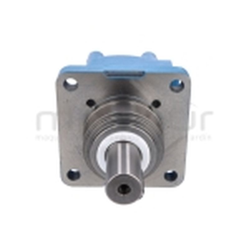 MOTOR HIDRAULICO (169) - motoscamaralweb.com