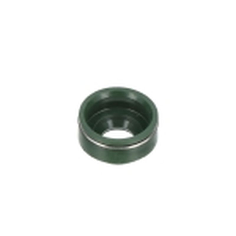 RETÉN VALVULA G270F (12) - motoscamaralweb.com