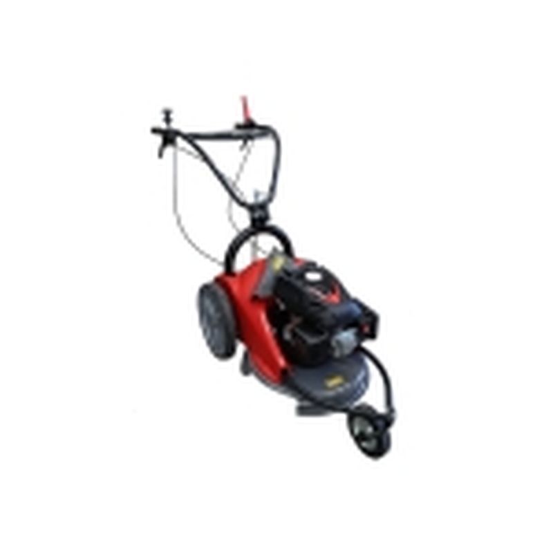 DESBROZADORA DE CUCHILLA MOTOR RV170 - motoscamaralweb.com