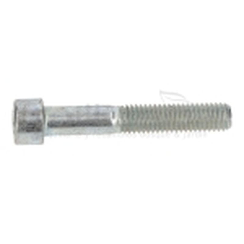 TORNILLO APRIETE CULATA BOMBA P100-187 - motoscamaralweb.com