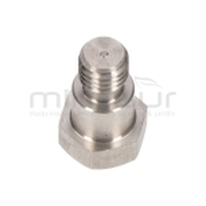 TORNILLO SUJECCION MEMBRANA BOMBA P100-187 - motoscamaralweb.com