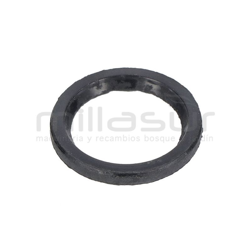 RETEN PISTON 25X18X2.5 BOMBA PG1C (36) - motoscamaralweb.com