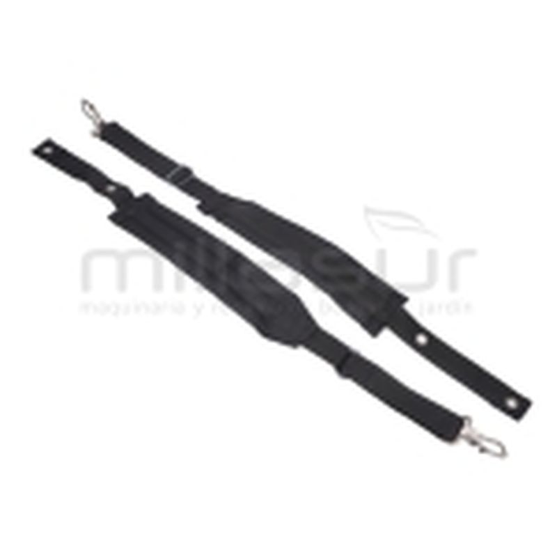 CINTAS ARNES PG1C - motoscamaralweb.com