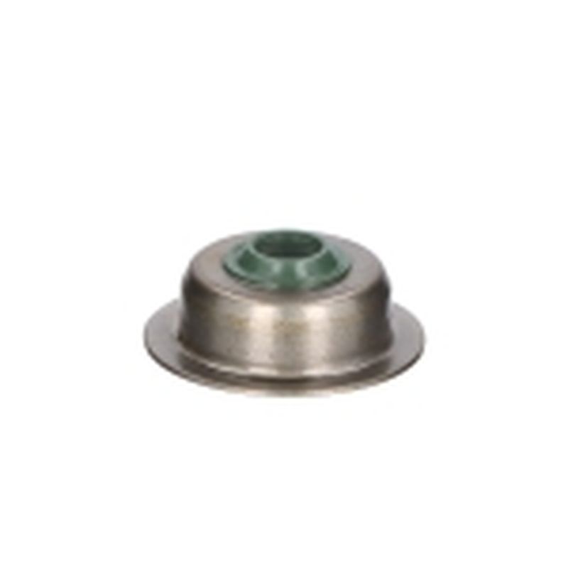 RETEN VALVULA H200(20) - motoscamaralweb.com