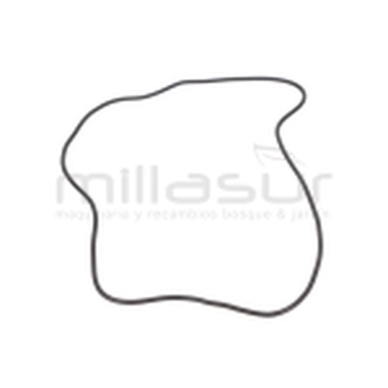 JUNTA SELLADO CAPO RC300 (5) - motoscamaralweb.com