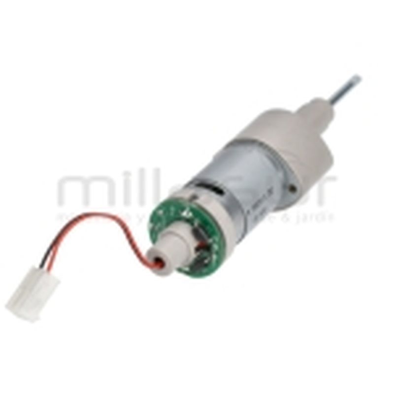 MOTOR CEPILLOS RL320 - motoscamaralweb.com