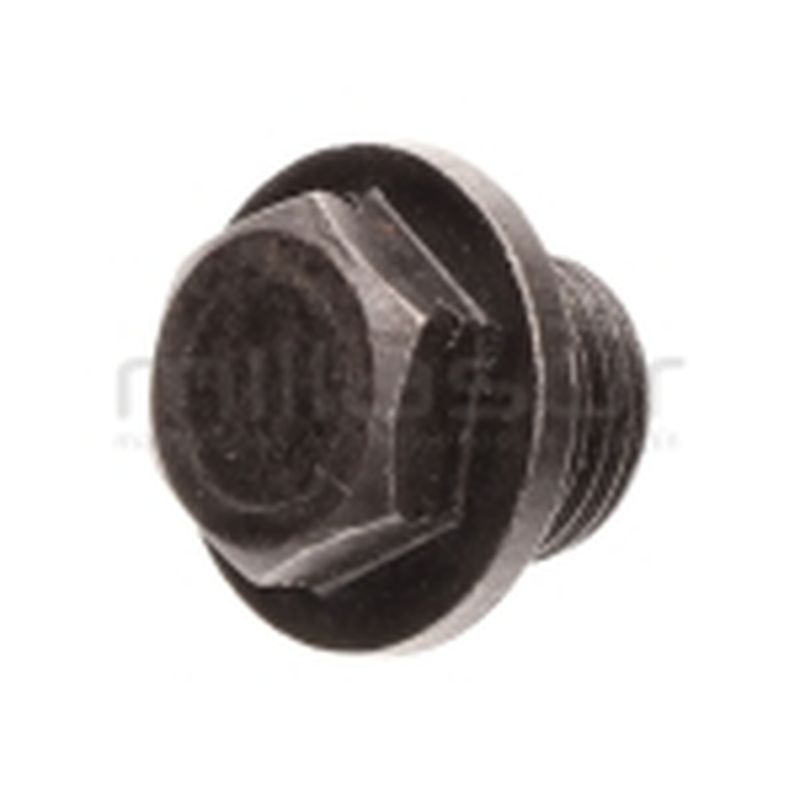 TORNILLO TAPON VACIADO RLT12VH - motoscamaralweb.com