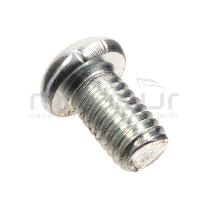 TORNILLO ESTRELLA M6X10 RLT12VH - motoscamaralweb.com