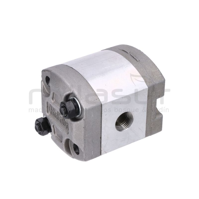 BOMBA RLT15G100 (20) - motoscamaralweb.com