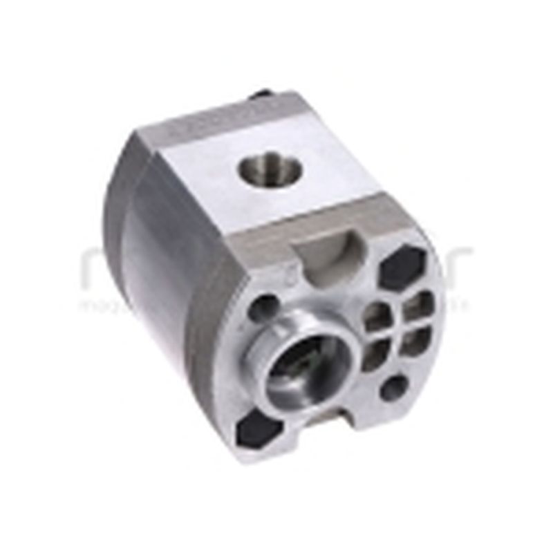 BOMBA RLT15G100 (20) - motoscamaralweb.com