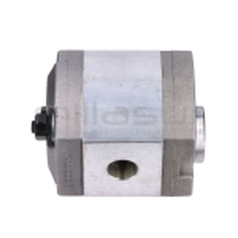 BOMBA RLT15G100 (20) - motoscamaralweb.com