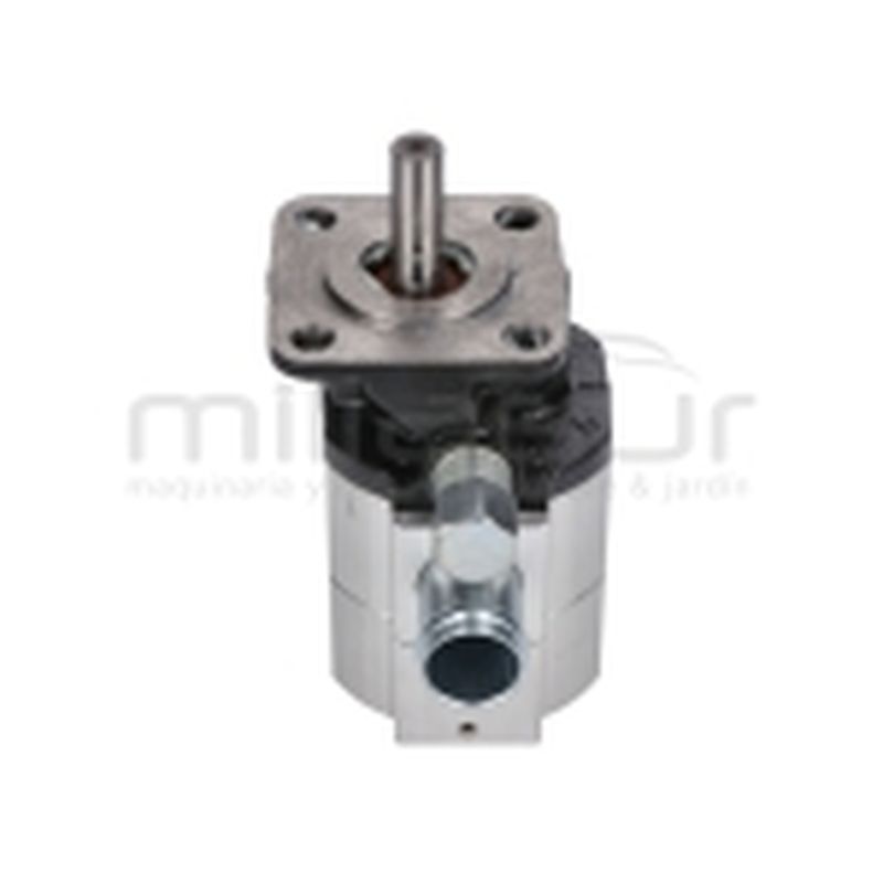 BOMBA RLT22GVH (44) - motoscamaralweb.com