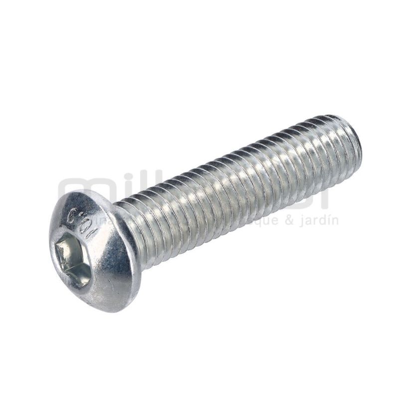 TORNILLO AMARRE SOPORTE CUÑA M12X50 RLT22GVH (3) - motoscamaralweb.com