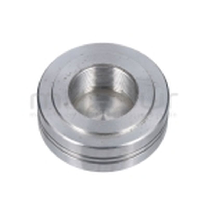 PISTON HIDRAULICO - motoscamaralweb.com
