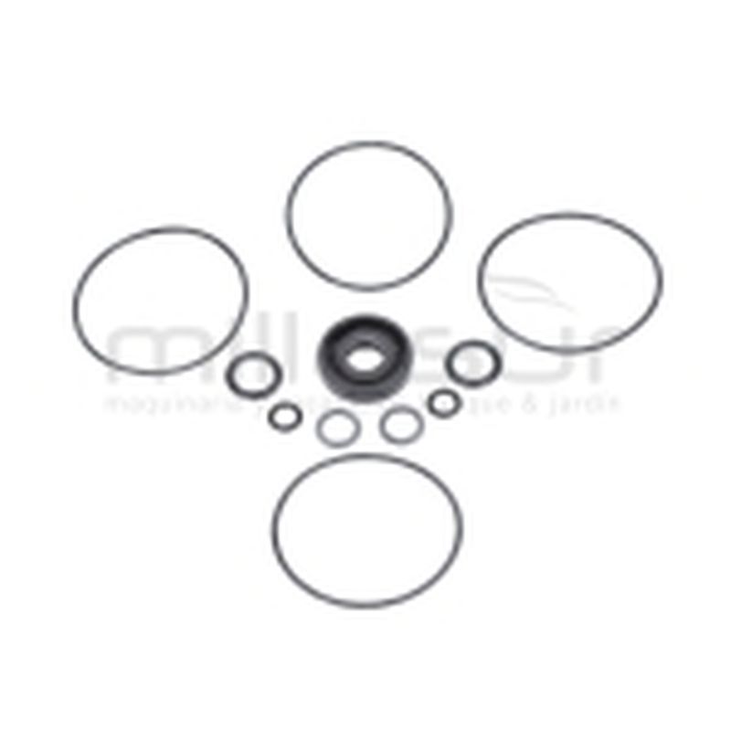 JUEGO JUNTAS BOMBA RLT7A - motoscamaralweb.com