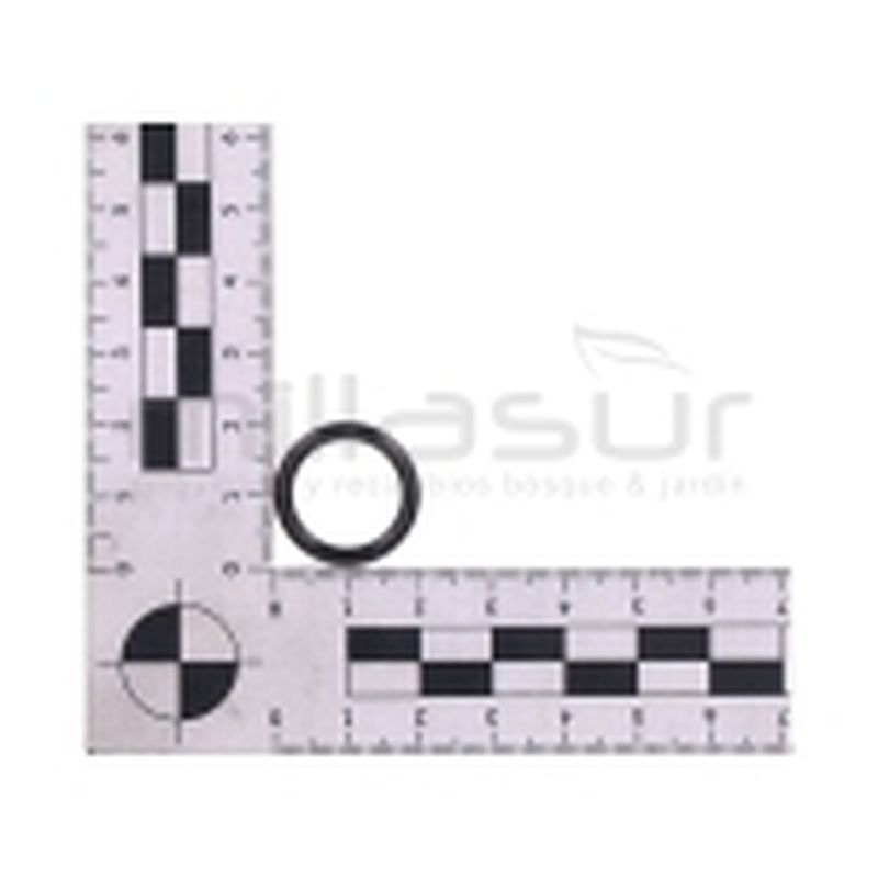 ARO TORICO 15X2.65 RLT8B (47) - motoscamaralweb.com