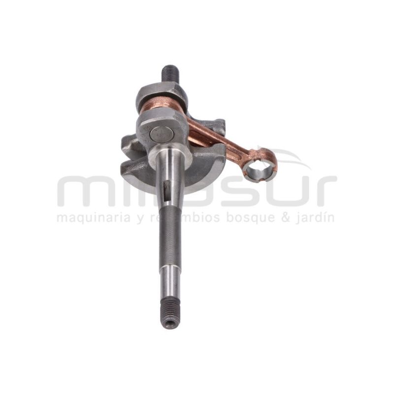 CIGÜEÑAL SG1C - motoscamaralweb.com