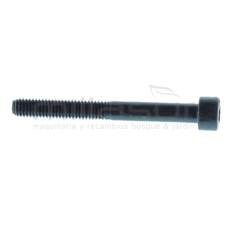 TORNILLO SUJECION FILTRO AIRE M5X45 SG1C. SG2C - motoscamaralweb.com