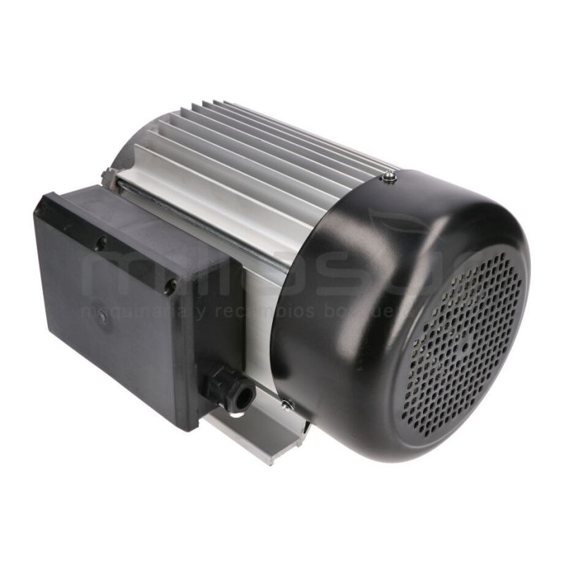 MOTOR ELECTRICO RLT8C - motoscamaralweb.com