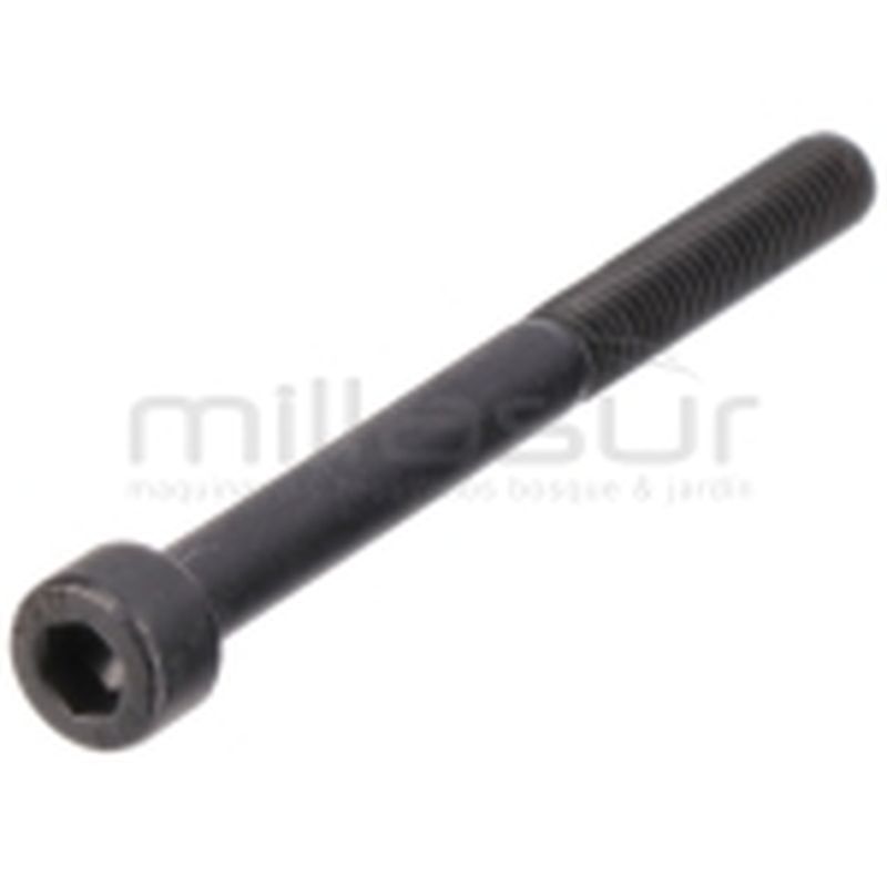 TORNILLO SUJECION ESCAPE M5X55 SG1C. SG2C (A54) - motoscamaralweb.com