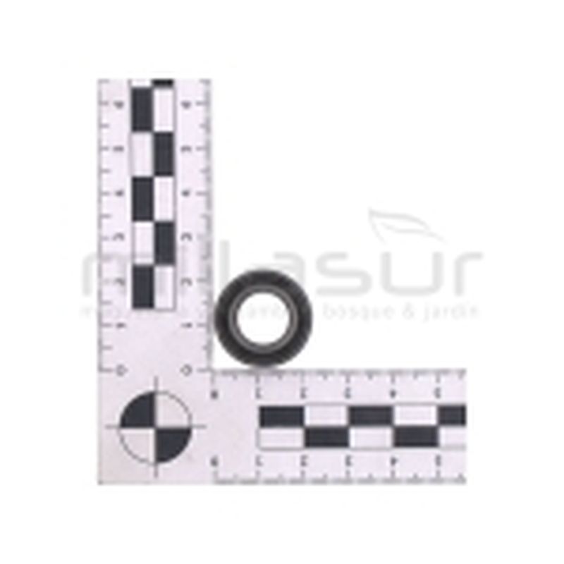 RETÉN - motoscamaralweb.com