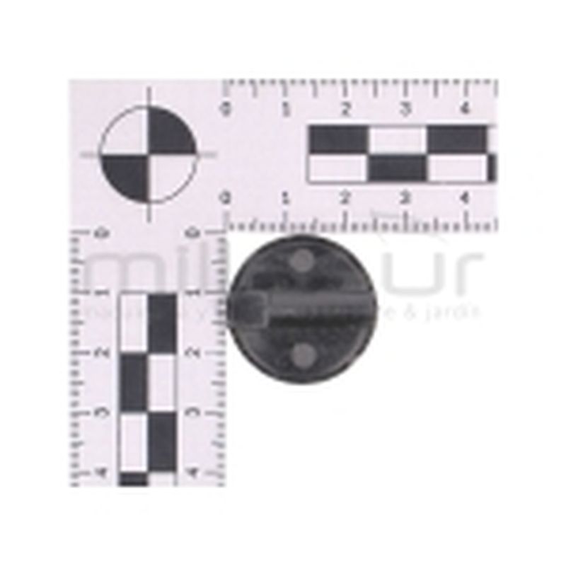 MARIPOSA - motoscamaralweb.com