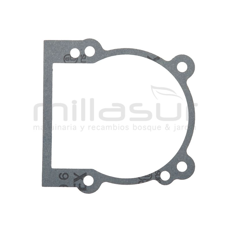 JUNTA CARTER SG76C (32) - motoscamaralweb.com