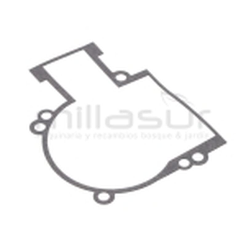 JUNTA CARTER SG83C - motoscamaralweb.com