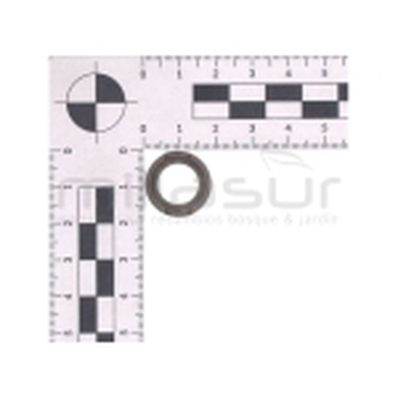 ARANDELA APOYO BULON SG83C - motoscamaralweb.com