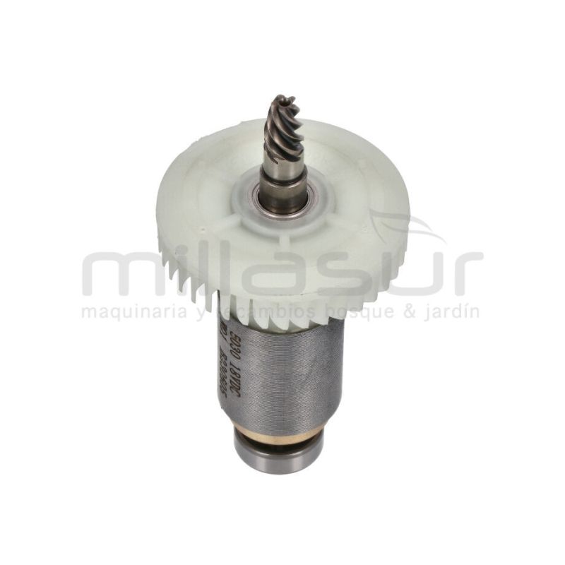 MOTOR PULIDORA (18) TAPLI2001 - motoscamaralweb.com