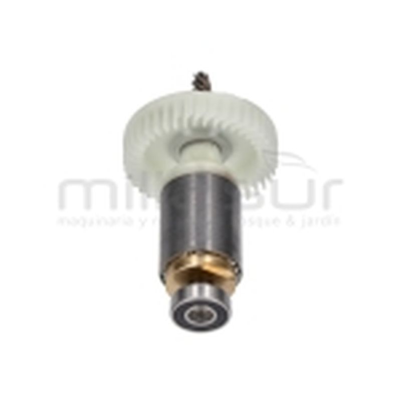 MOTOR PULIDORA (18) TAPLI2001 - motoscamaralweb.com