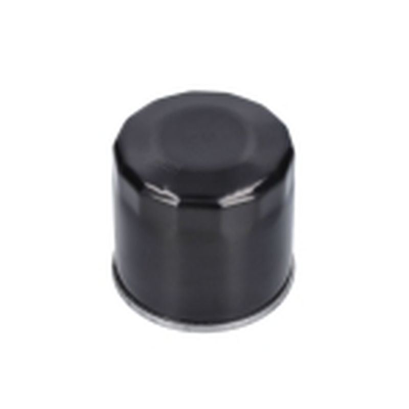 FILTRO ACEITE LC1P91F 546CC (9)-TC108LH LC2P73F 586CC (7) - motoscamaralweb.com