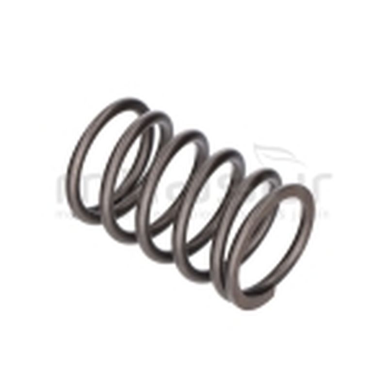 MUELLE VALVULA LC1P91F 546CC (4)-TC108LH LC2P73F 586CC (3) - motoscamaralweb.com