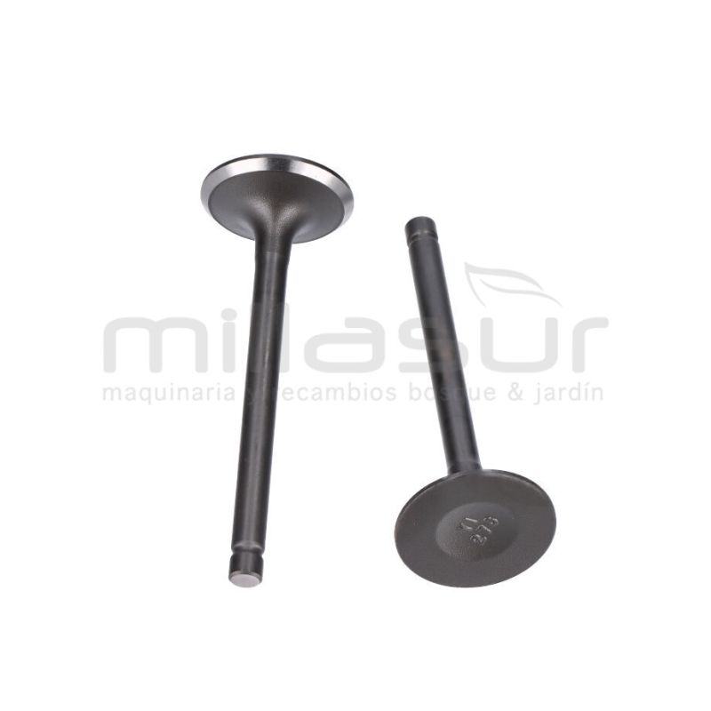 JUEGO VALVULAS TC108LH - LC2P73F- 586CC (6) - motoscamaralweb.com