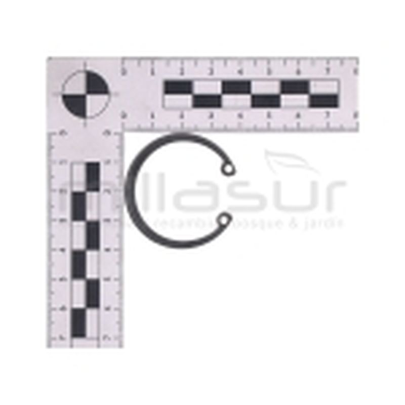 E-CLIP 37 SUCCION RODAMIENTO POLEA TC86M. TC92H (28) - motoscamaralweb.com