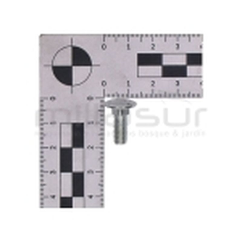 TORNILLO APRIETE SOPORTE BLOQUEO TRACCION TC98LH(22) - motoscamaralweb.com