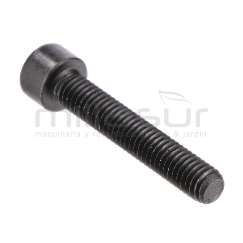 TORNILLO M6X35 TC98S (09 32) - motoscamaralweb.com