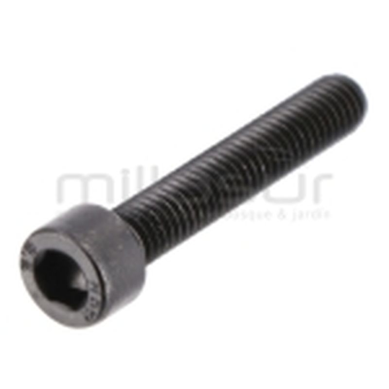 TORNILLO M6X35 TC98S (09 32) - motoscamaralweb.com