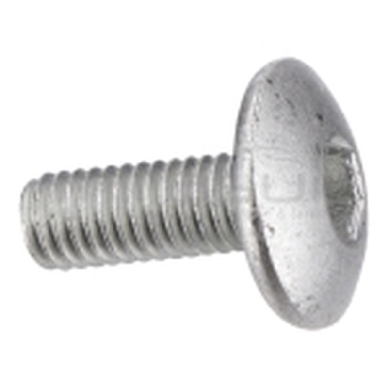 TORNILLO M6 TAPA POLEA MOTOR TC98S (16 12) - motoscamaralweb.com