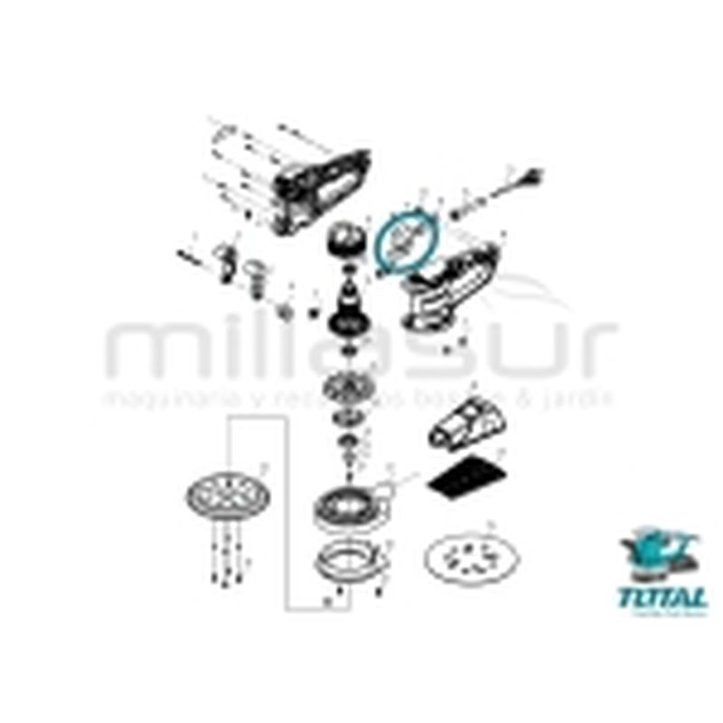 INTERRUPTOR LIJADORA TF2041501 TF2041506 ( 10 + 11) - motoscamaralweb.com