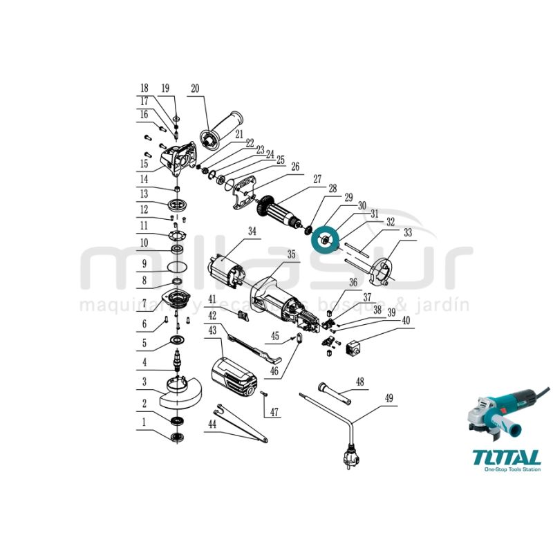 RODAMIENTO MOTOR AMOLADORA TG1091156 - motoscamaralweb.com