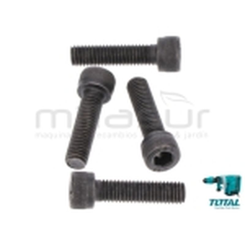 TORNILLO ALLEN TH215002 ( 13) - motoscamaralweb.com