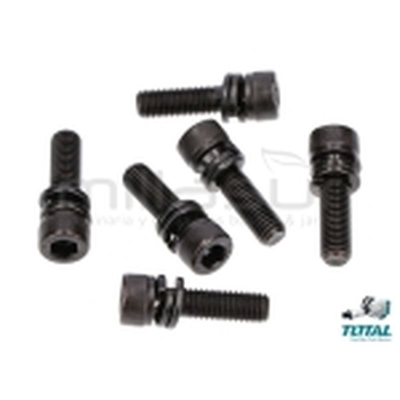 SET 6 TORNILLOS BLOQUEO PORTA-CINCEL TH215456 - motoscamaralweb.com